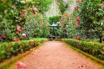 Quelles plantes utiliser pour sa bordure de jardin ?
