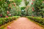 Quelles plantes utiliser pour sa bordure de jardin ?