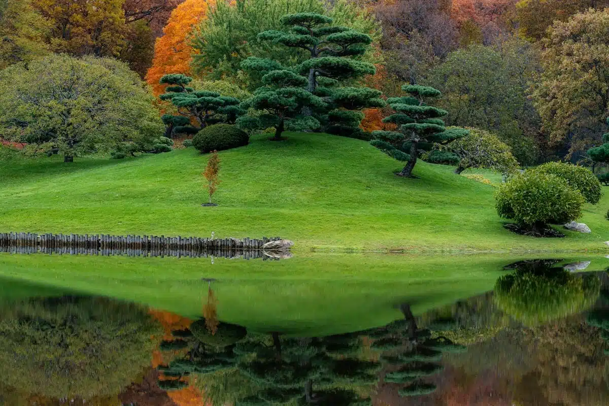 jardin mixte