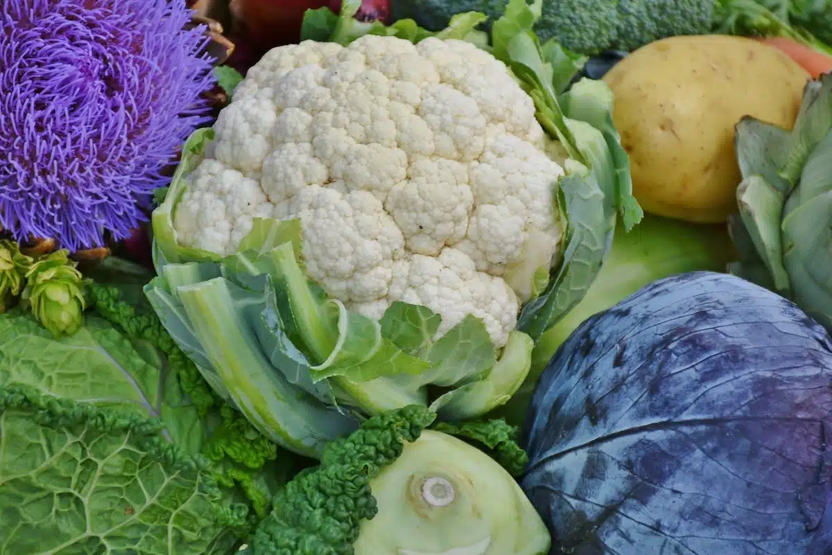 potager automnal