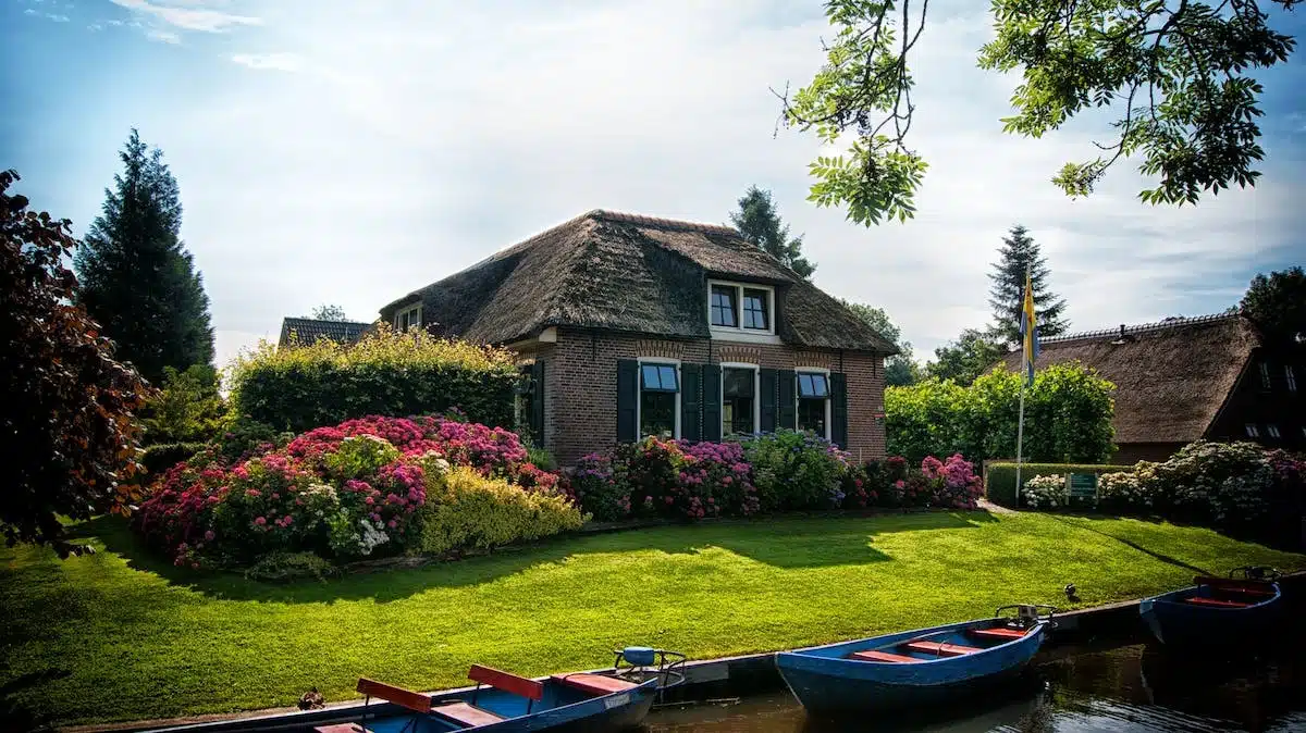 cottage  fleurs