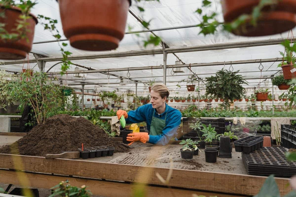 écologie  jardinage