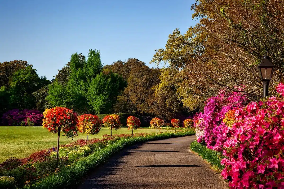 fleurs jardin