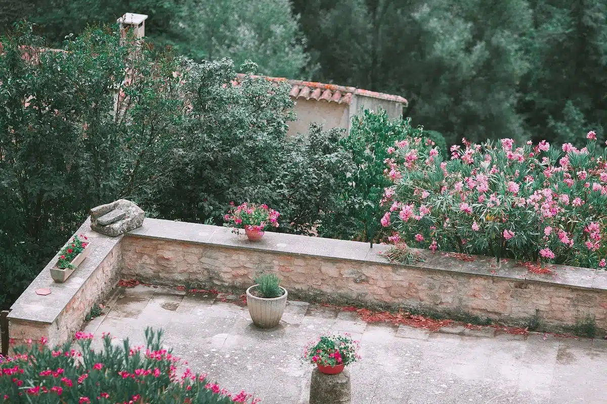 jardin aromatique