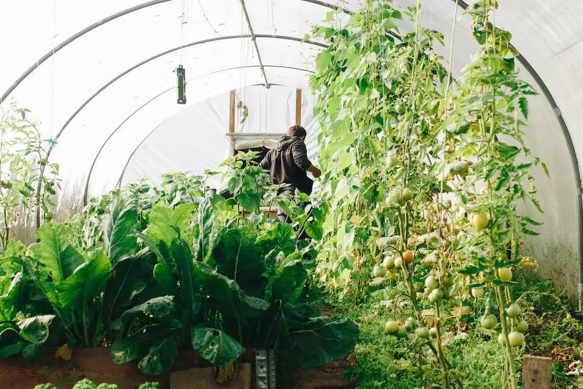 potager  matériel