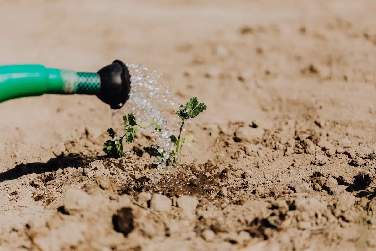 irrigation  jardin