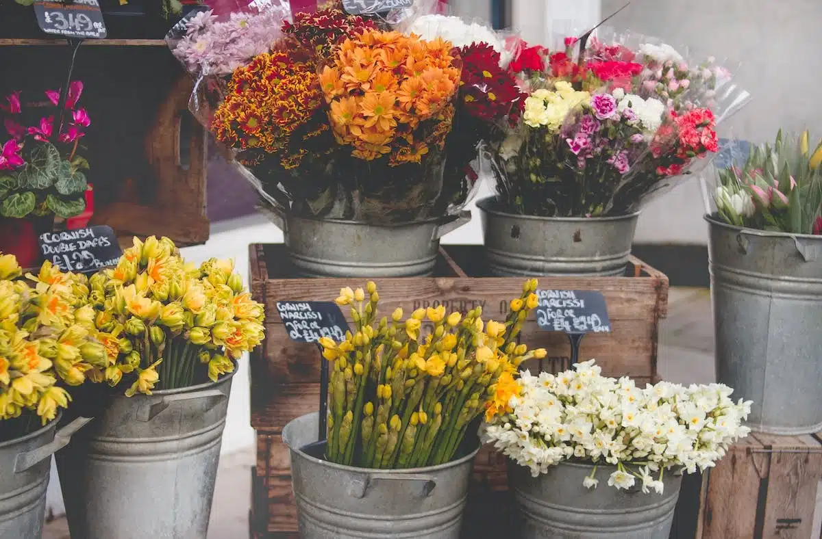 fleurs coupées