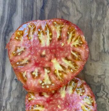 Les variétés de graines de tomates à découvrir absolument