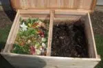 Comment réussir l’achat d’un lombricomposteur pour une meilleure culture de vos plantes