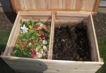 Comment réussir l’achat d’un lombricomposteur pour une meilleure culture de vos plantes