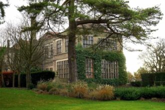 Des arbres à entretenir