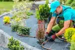 Les avantages de faire appel à un paysagiste professionnel pour aménager votre extérieur