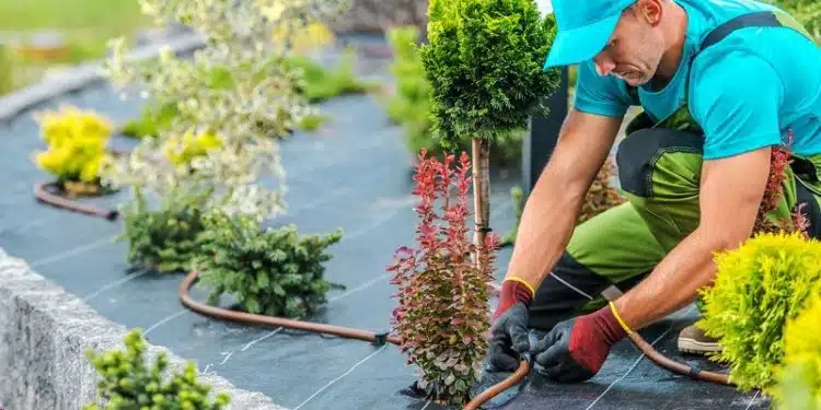 Les avantages de faire appel à un paysagiste professionnel pour aménager votre extérieur