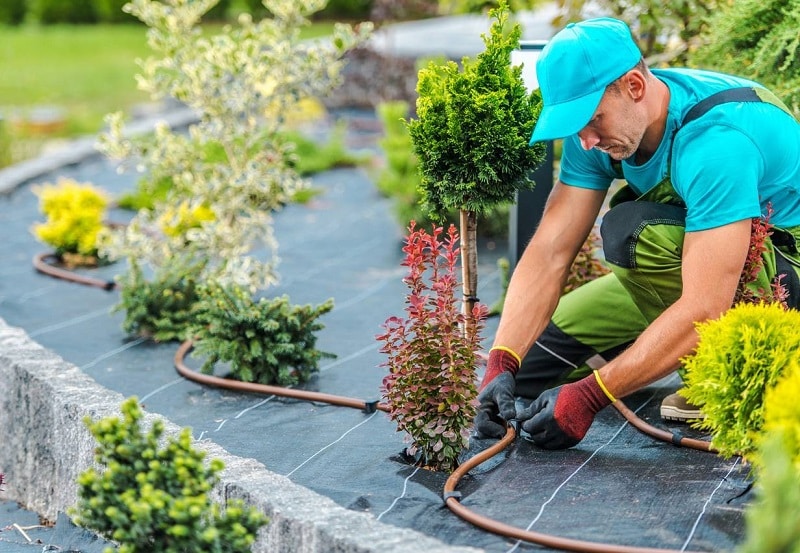 Les avantages de faire appel à un paysagiste professionnel pour aménager votre extérieur