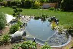 Tout savoir sur les bassins de jardin
