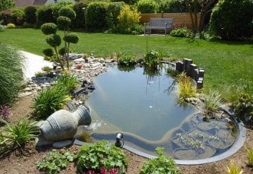 Tout savoir sur les bassins de jardin