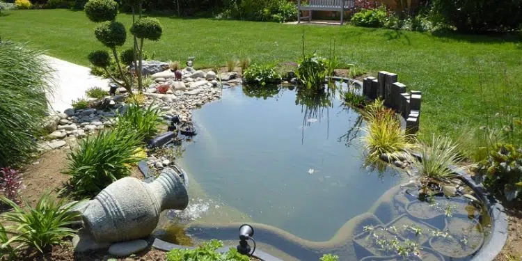 Tout savoir sur les bassins de jardin