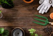 Blog jardinage : le meilleur endroit pour des astuces jardin !