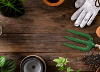 Blog jardinage : le meilleur endroit pour des astuces jardin !