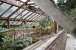 Comment choisir une serre de jardin ?