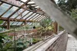 Comment choisir une serre de jardin ?