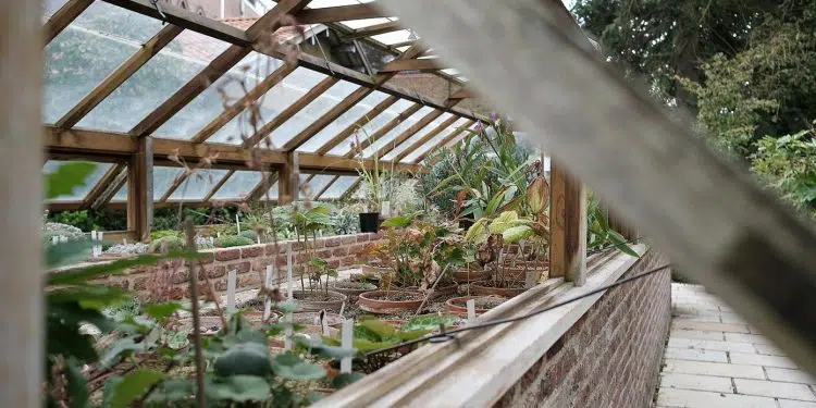 Comment choisir une serre de jardin ?