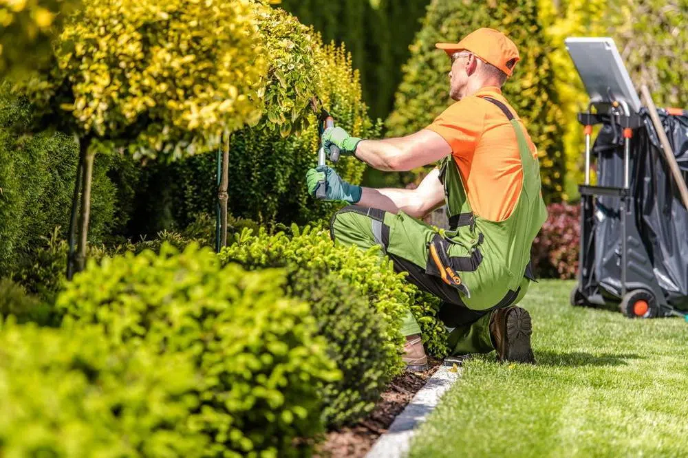 conseils beau jardin Côte d'Azur paysagiste