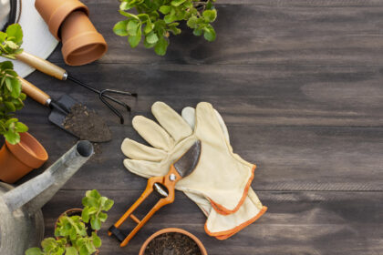 Faire appel à un jardinier à domicile : ce que ça coûte vraiment