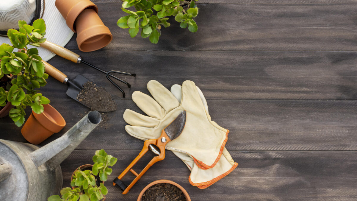 Faire appel à un jardinier à domicile : ce que ça coûte vraiment
