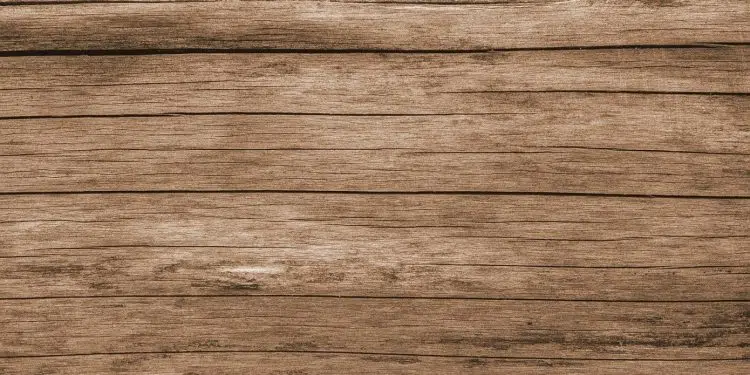 La terrasse en bois apporte un cachet supplémentaire à votre espace vert