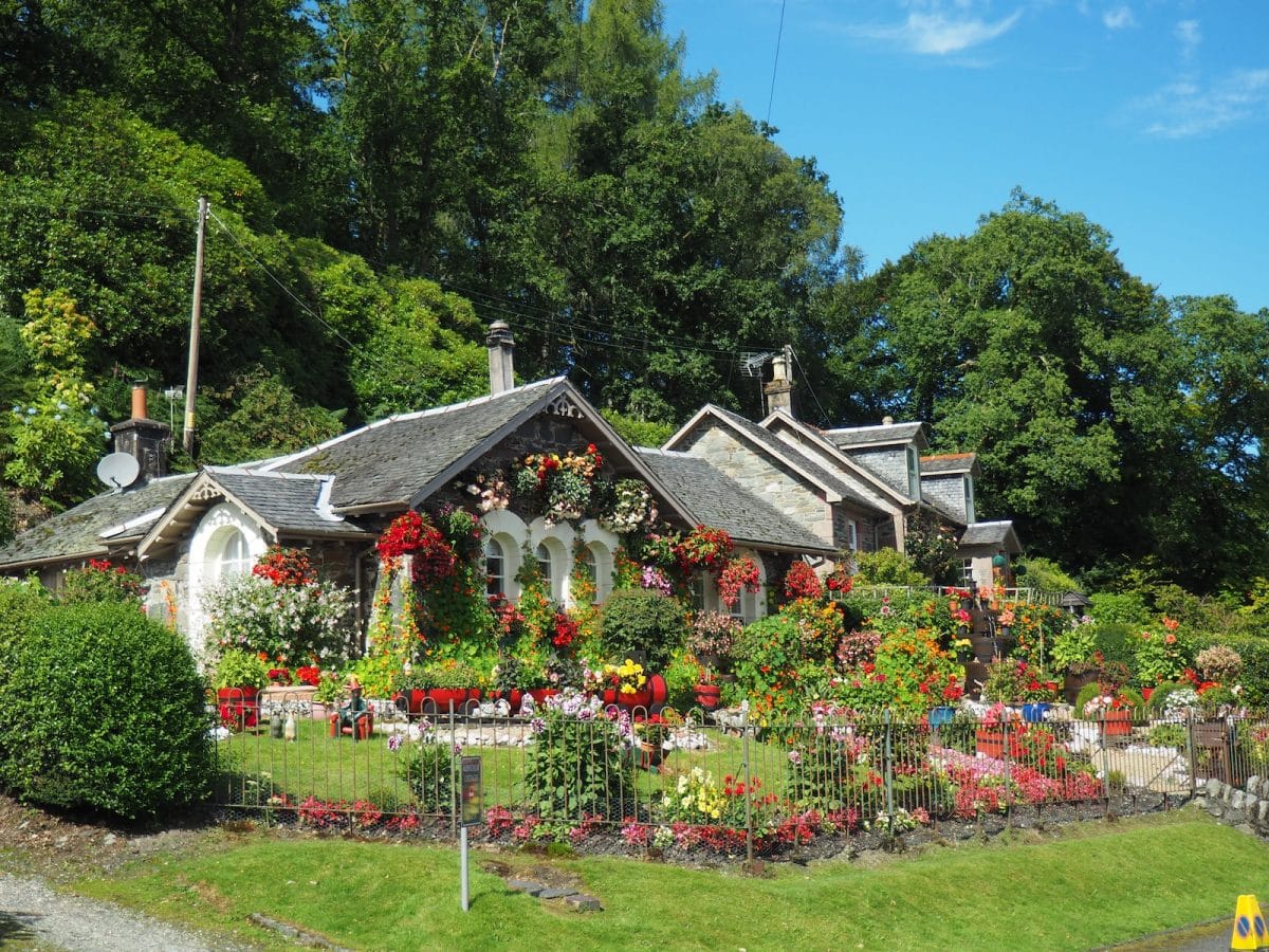 Les dernières tendances en matière de jardinage à découvrir cet été