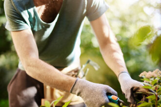 Pourquoi de plus en plus de Français confient leur jardin à un professionnel ?