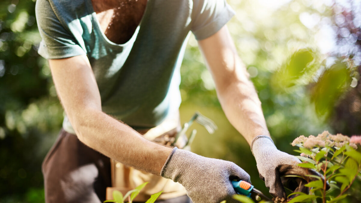 Pourquoi de plus en plus de Français confient leur jardin à un professionnel ?