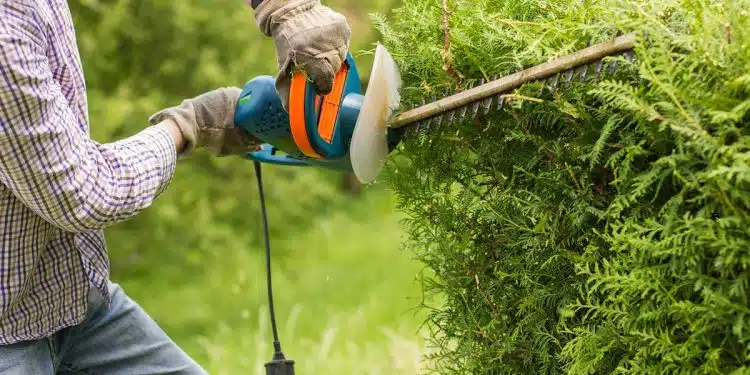 entretien du jardin