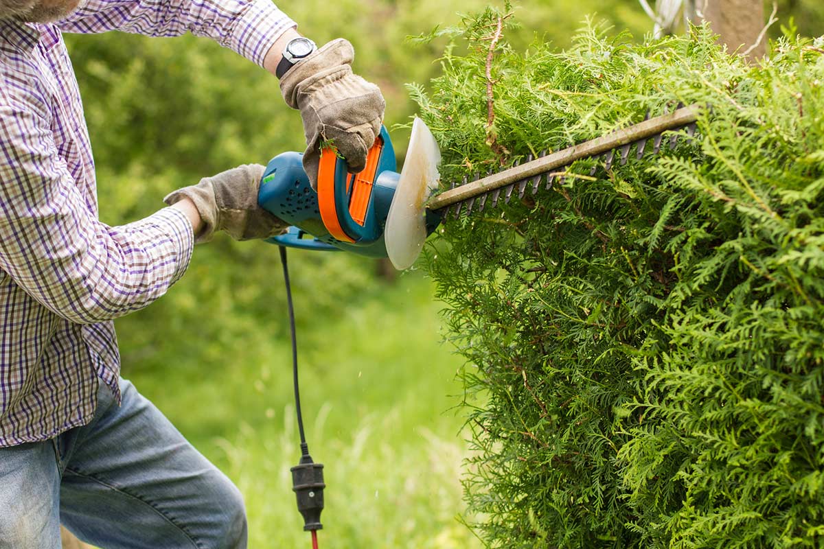 entretien du jardin