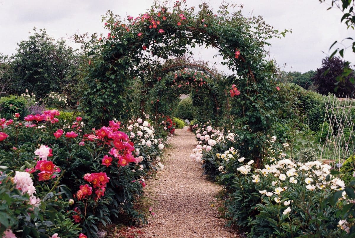 Construire une superbe arche de jardin en bois : nos astuces et conseils ! 